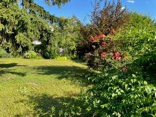 Sonnige Gartenansicht mit weitläufigem Rasen und dichtem Laubwerk, das Privatsphäre bietet.