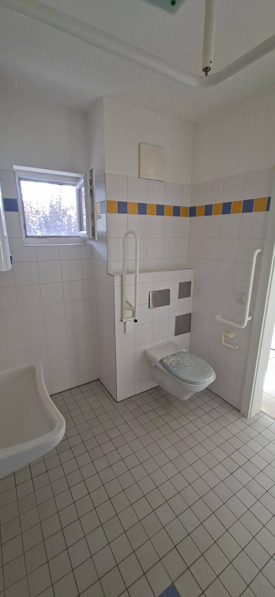 Badezimmer mit WC, Waschbecken, Fenster und Haltegriffen, die Barrierefreiheit unterstützen.