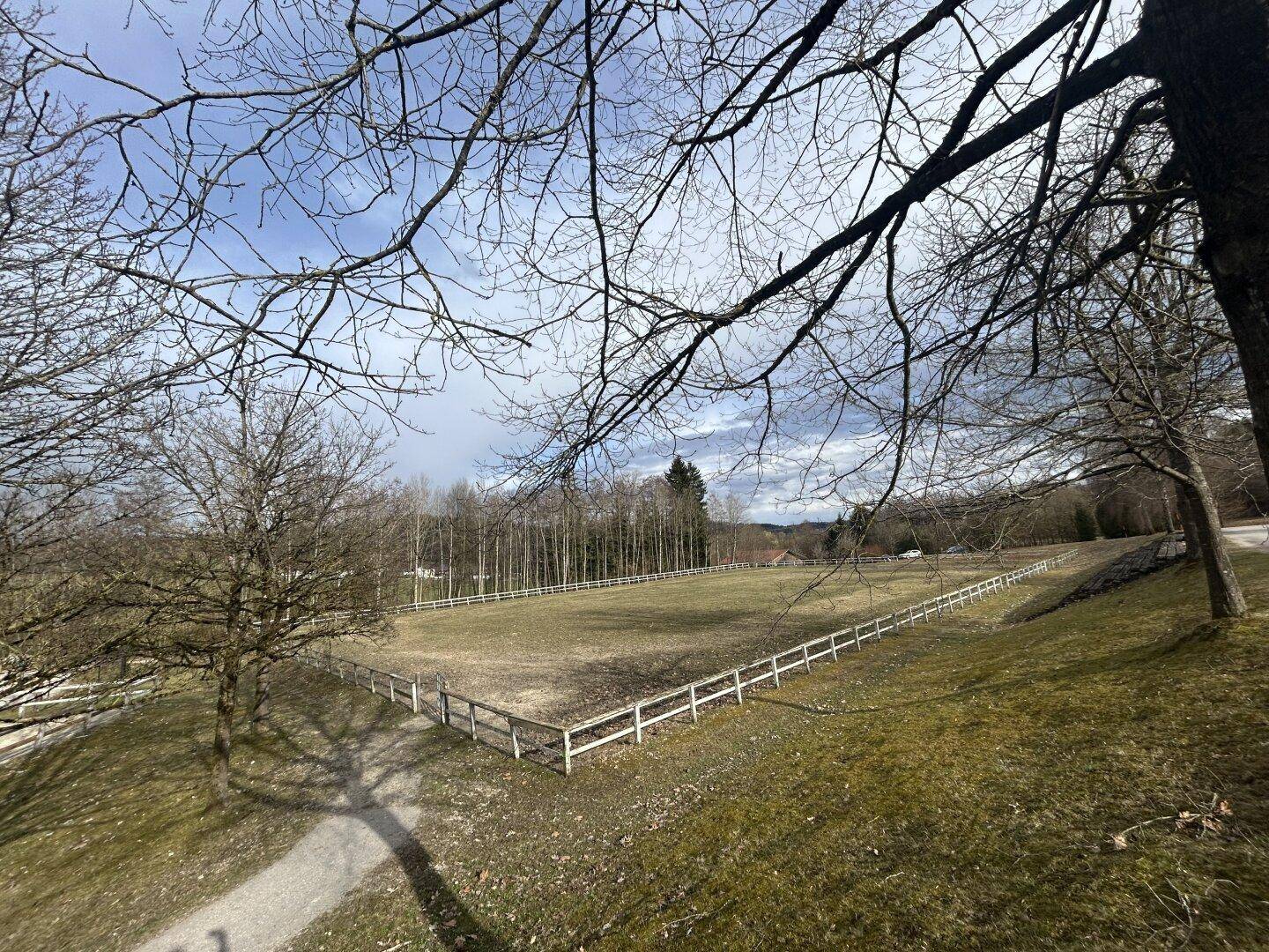 Große eingezäunte Koppel oder Weidefläche, umgeben von Bäumen unter einem bewölkten Himmel.