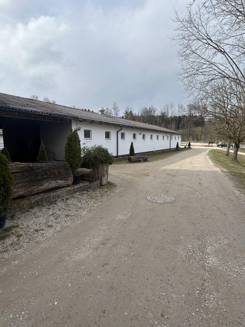 Lange, weiß gestrichene Stallgebäude mit kleinen Fenstern und einem Schotterweg davor.