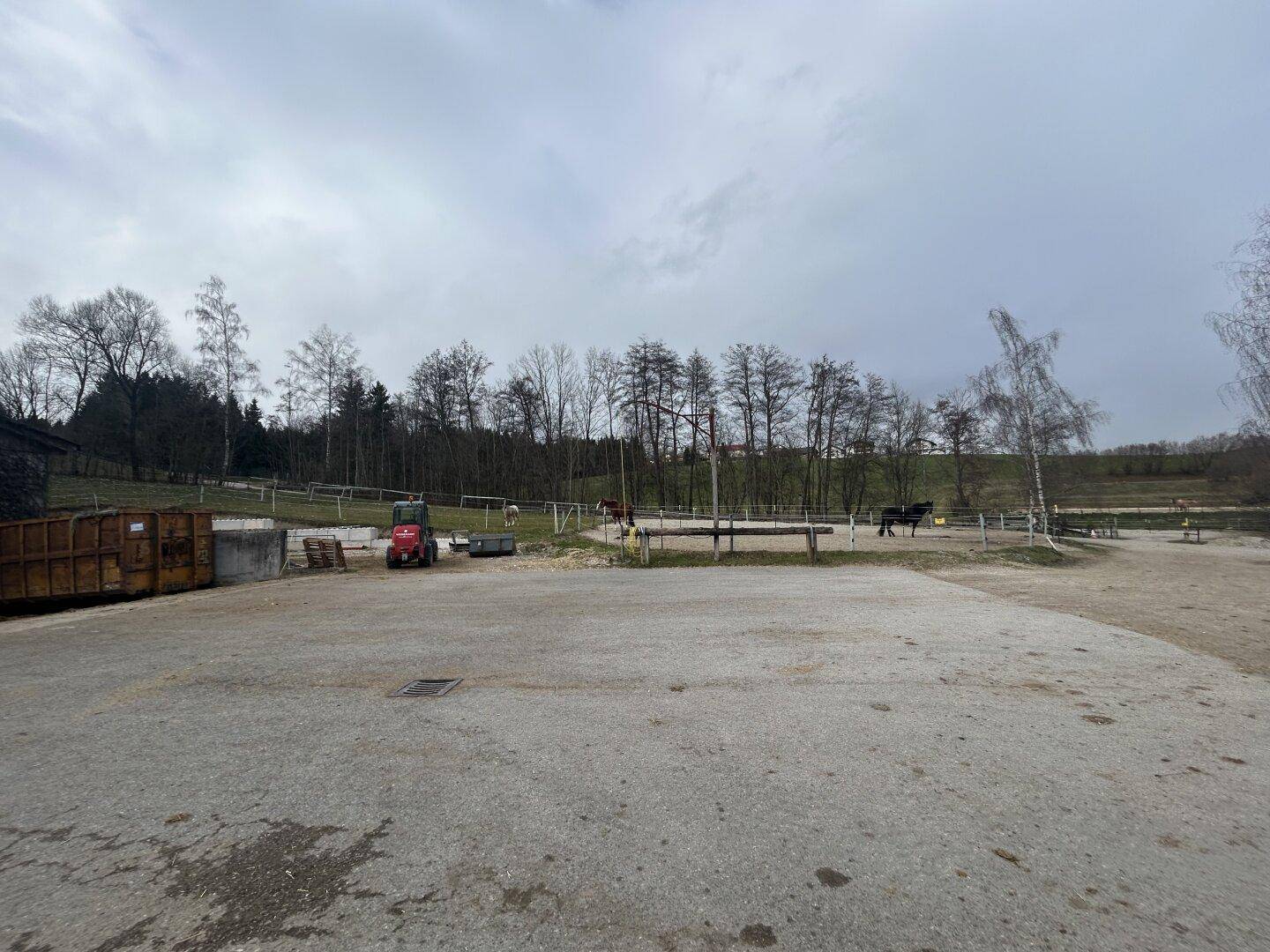 Großer Außenbereich mit asphaltierter Fläche, umgeben von Koppeln und Bäumen unter bewölktem Himmel.