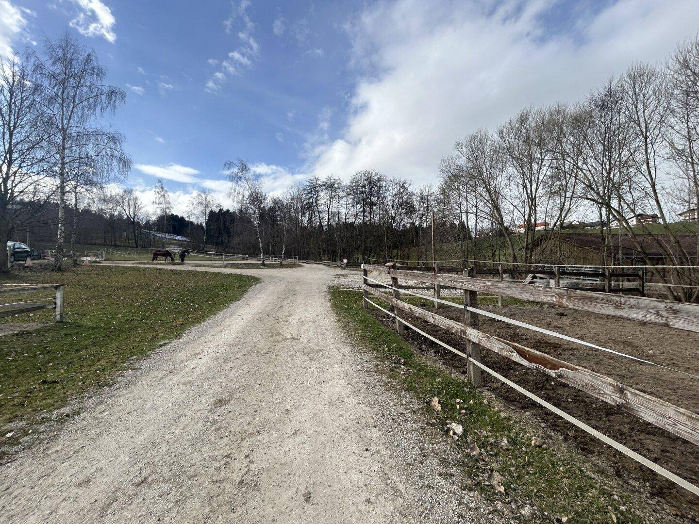 Schotterweg führt durch eine ländliche Landschaft mit Bäumen und eingezäunten Koppeln.