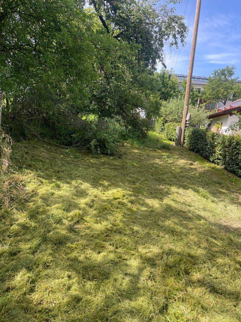 Hanglage mit frisch gemähtem Gras, umgeben von üppigem Grün und einer gepflegten Hecke.