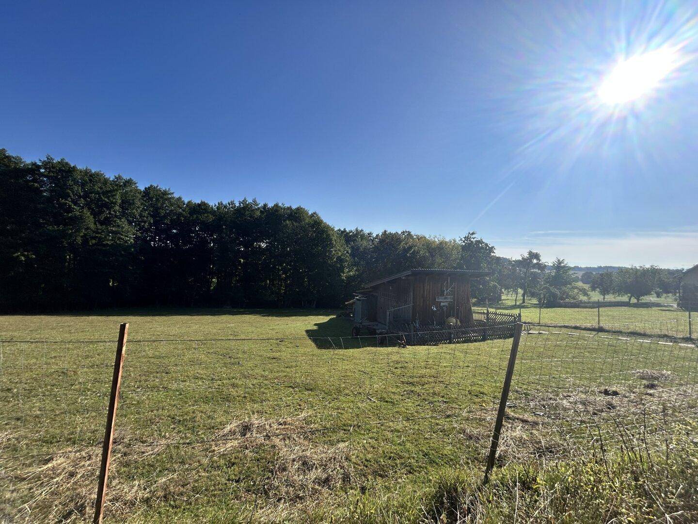 Kleiner Holzschuppen in der Ferne auf einer sonnigen Wiese, umgeben von üppigem Grün und Bäumen.
