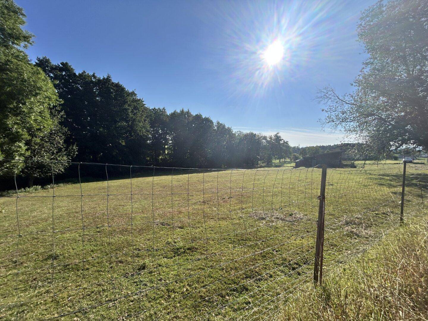 Ausgedehnte grüne Fläche mit einem Waldstreifen am Horizont, unter einem klaren, sonnigen Himmel.