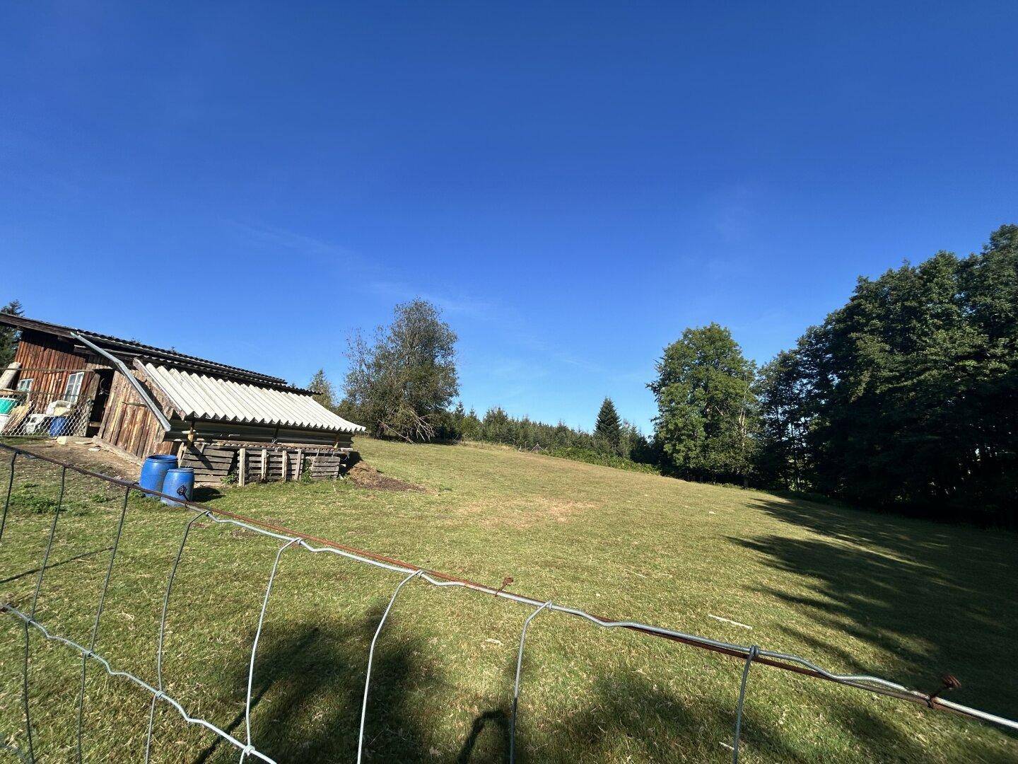 Rustikaler Holzschuppen mit schrägem Dach auf einer leicht hügeligen Wiese, umgeben von Bäumen.