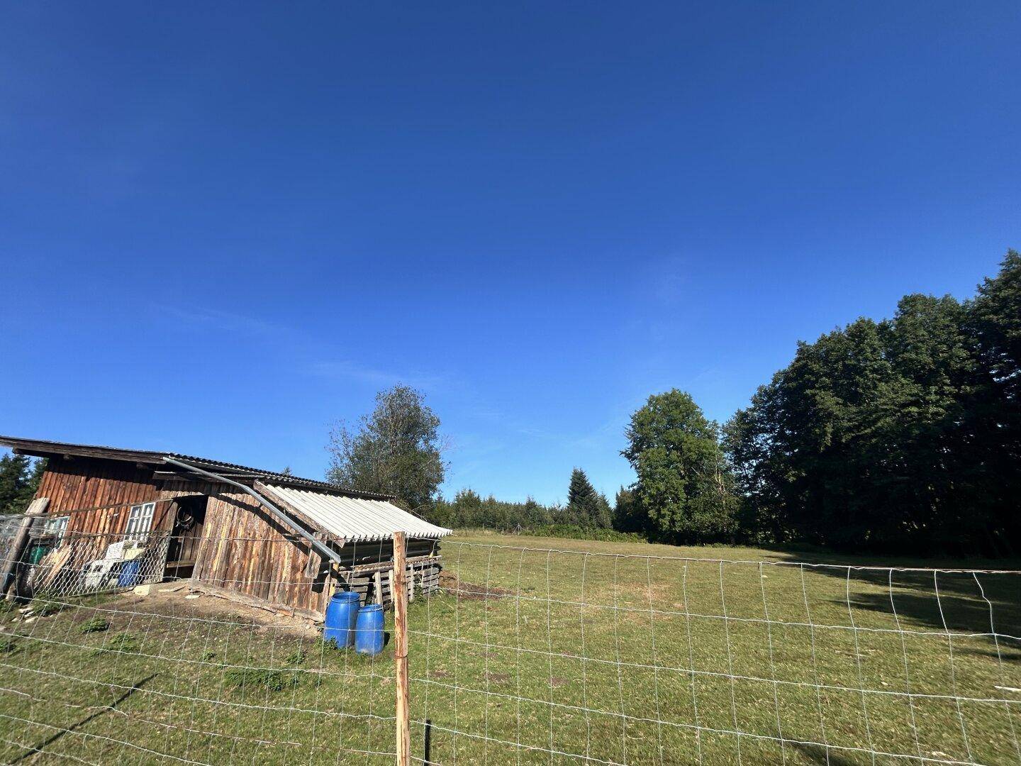 Holzschuppen mit Wellblechdach auf einer weitläufigen Wiese, umgeben von Wald unter blauem Himmel.