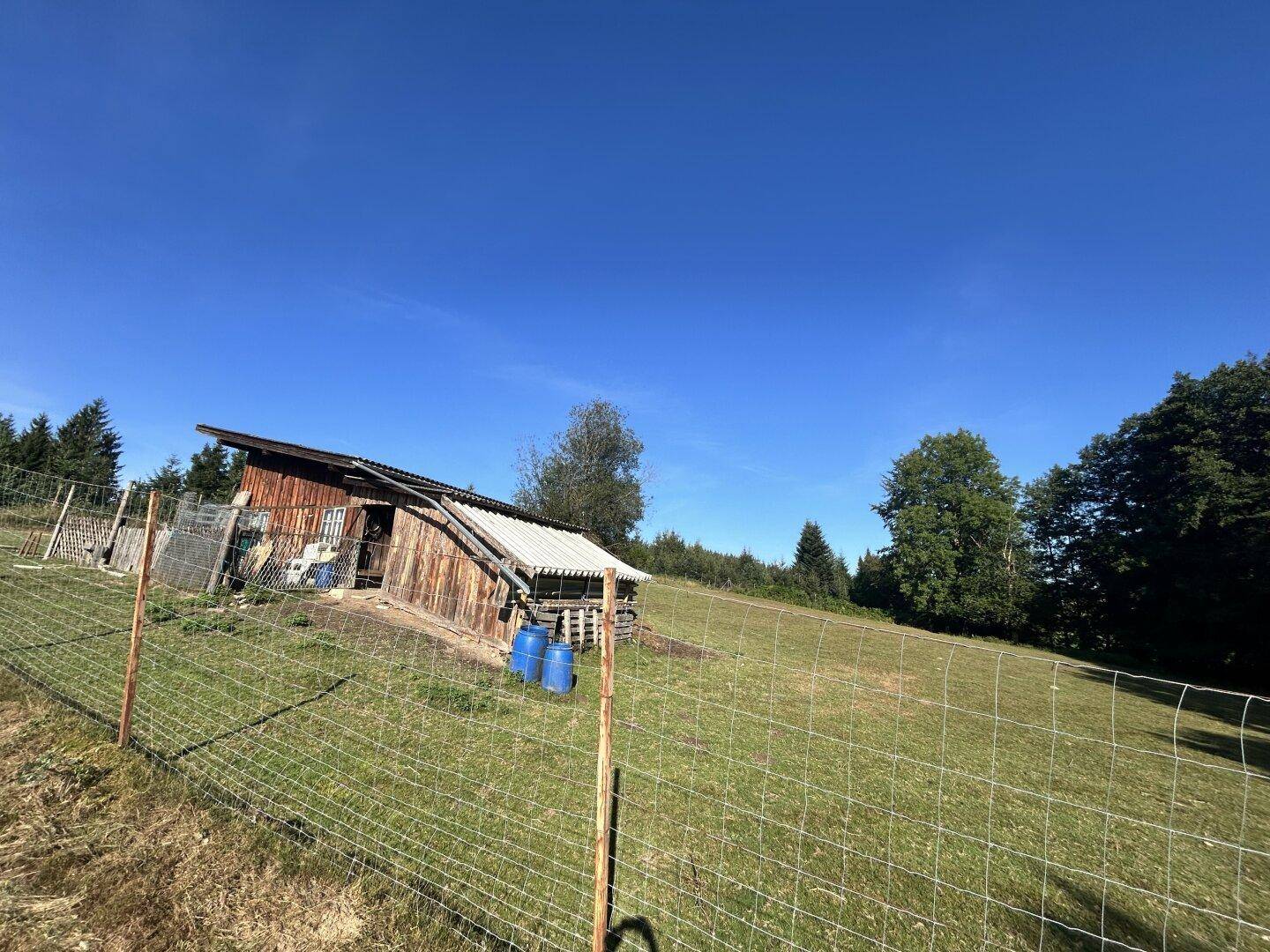 Holzschuppen auf einer leicht ansteigenden Wiese, umgeben von Bäumen und einem Drahtzaun.