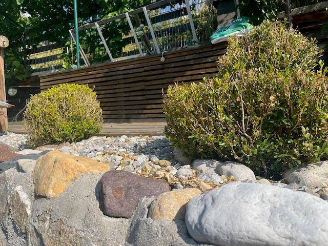 Steine und Kiesbeet mit kleinen Büschen und einer Holzeinfassung im Garten.