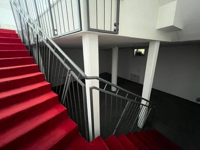 Treppenhaus mit rotem Teppichboden und schwarzem Geländer, führt in den Kellerbereich.