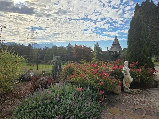 Dekorativer Gartenbereich mit blühenden Rosen, einer Statue und einem charmanten Vogelhaus.