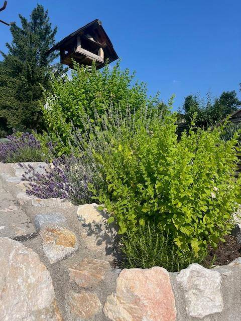 Bepflanztes Blumenbeet mit Steinen und einem Vogelhaus unter blauem Himmel.