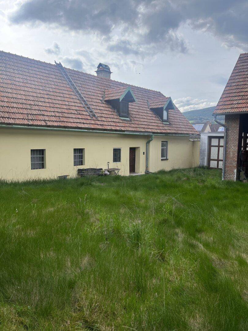 Rückansicht des gelben Hauses mit Ziegeldach und Gaubenfenstern, umgeben von hohem Gras.