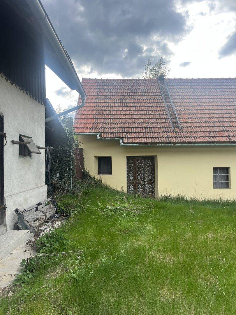 Seitenansicht eines weißen Gebäudes und des gelben Hauses, umgeben von einer grünen Wiese.