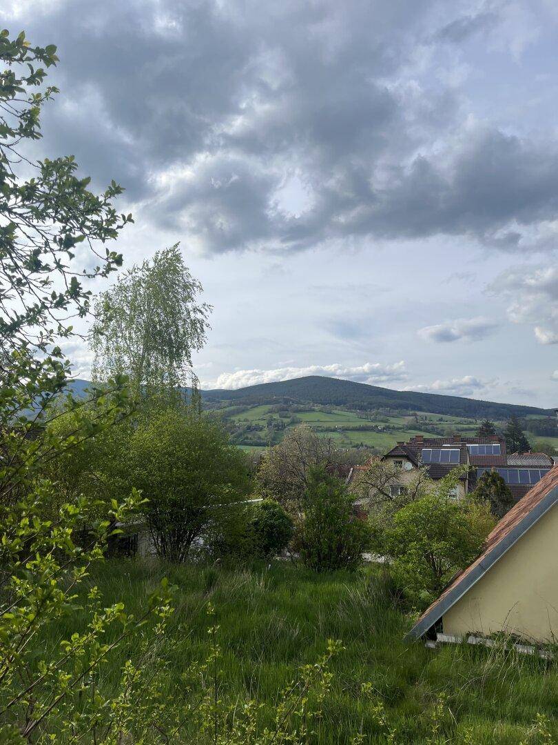 Weitläufiger Ausblick auf eine grüne, hügelige Landschaft mit Bergen unter einem bewölkten Himmel.