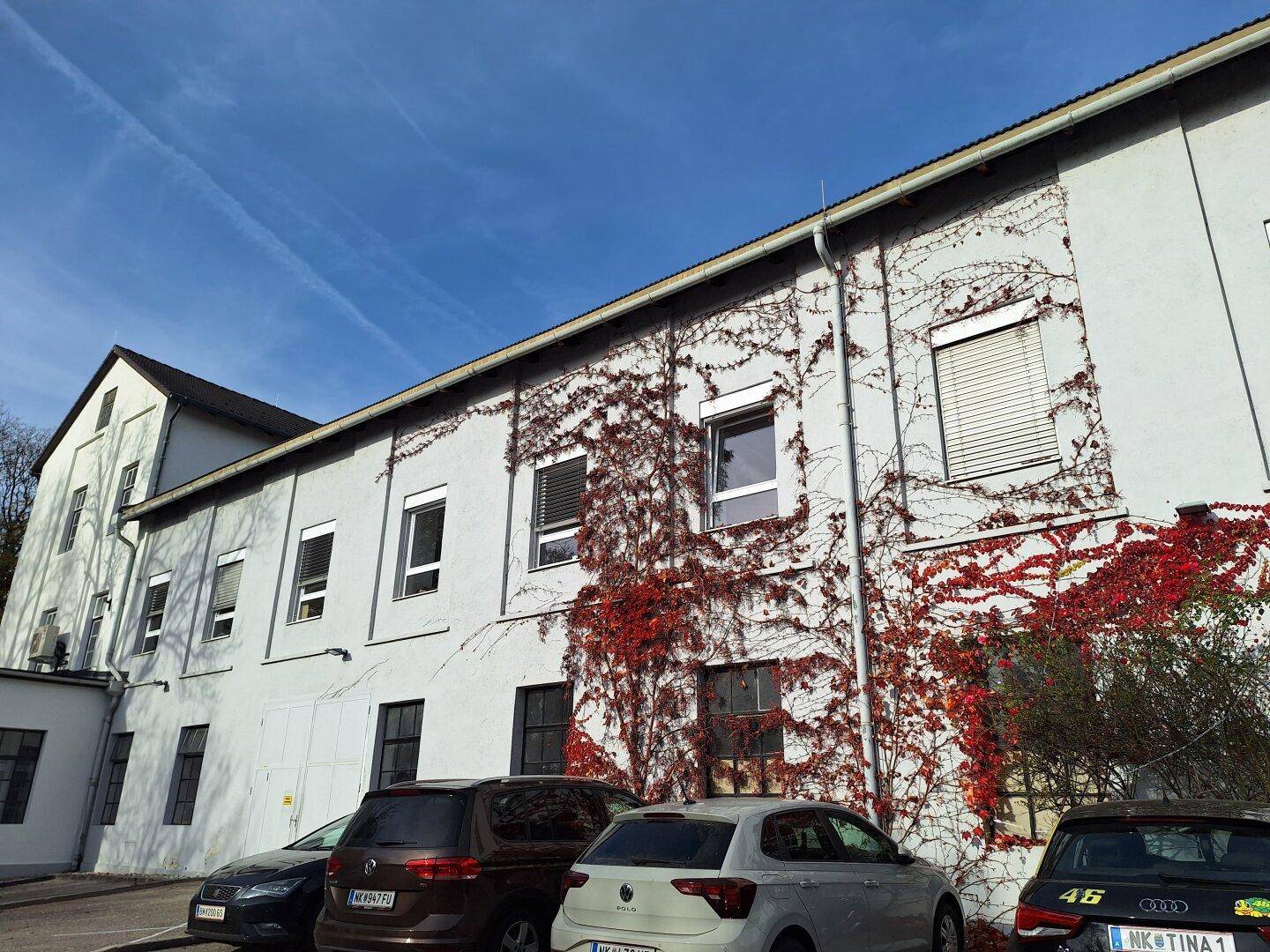 Stylische Büro- oder Praxisfläche in Ternitz, Ortsteil Pottschach zu vermieten - Ansicht 2