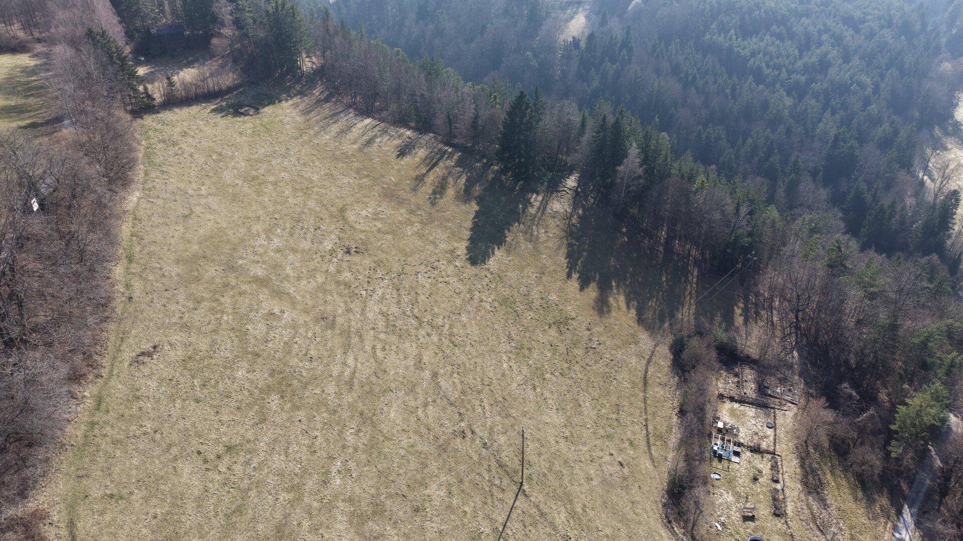 Luftaufnahme einer weiten Feldlandschaft, umgeben von dichtem Wald und sanften Hügeln.