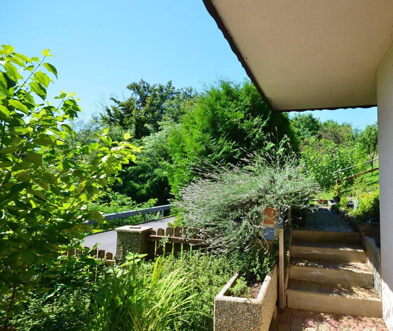 Eingangsbereich des Hauses mit Steintreppe und üppiger Bepflanzung.