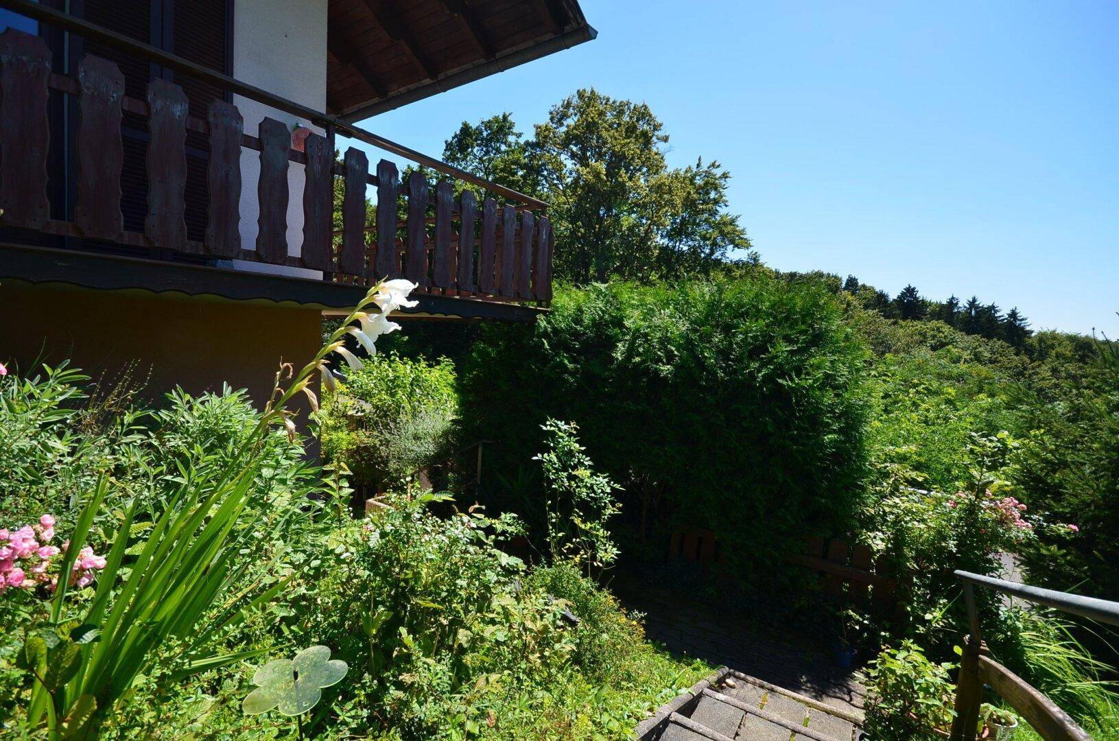 Balkon mit Holzbalkongeländer, umgeben von dichtem Grün und Bäumen.