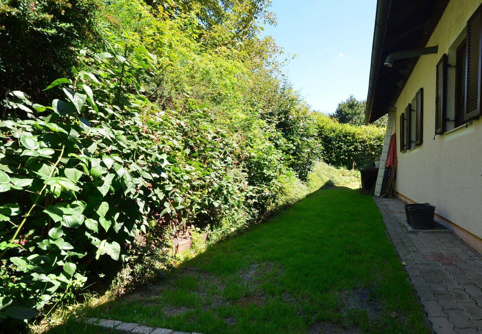 Schmaler gepflasterter Weg entlang einer grünen Böschung mit üppiger Vegetation.