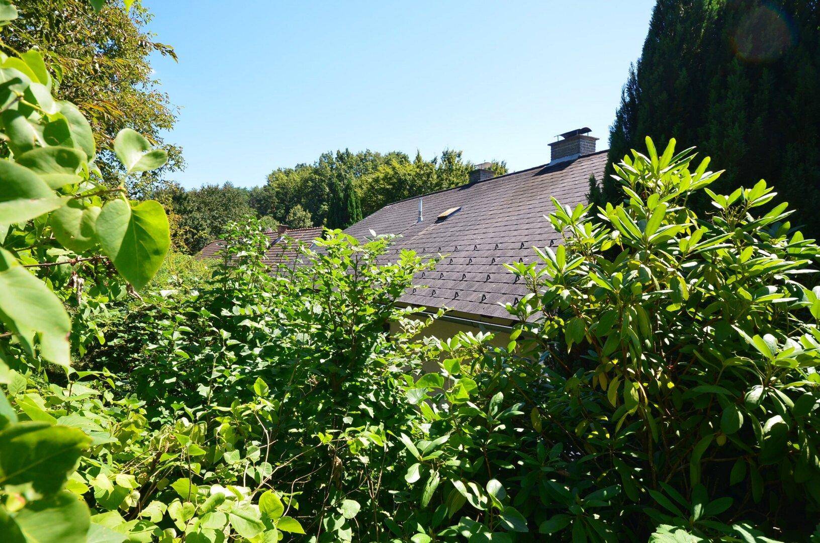Dach eines Hauses, umgeben von dichtem Baumbestand und grüner Landschaft.