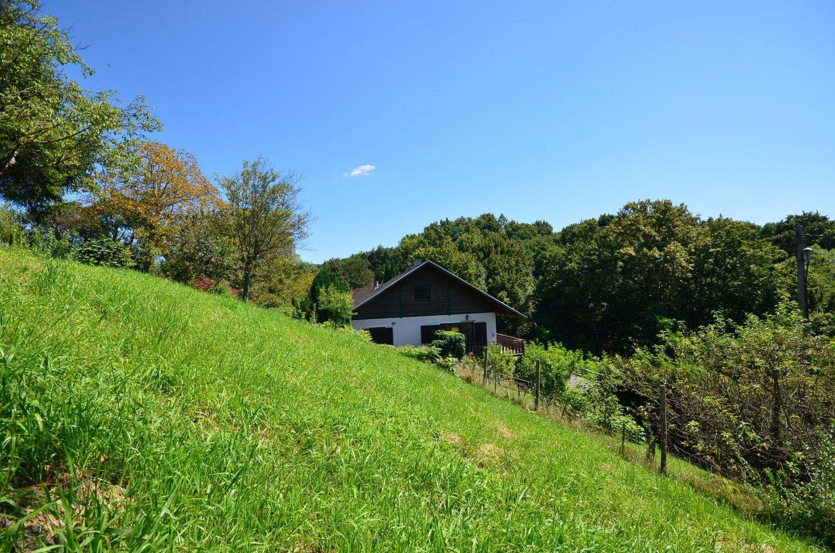 Weitläufige grüne Wiese mit Blick auf ein Haus in der Ferne, umgeben von Natur.