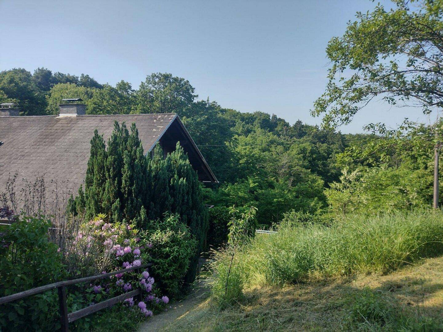 Dach eines Hauses, umgeben von dichtem Baumbestand und grüner Landschaft.