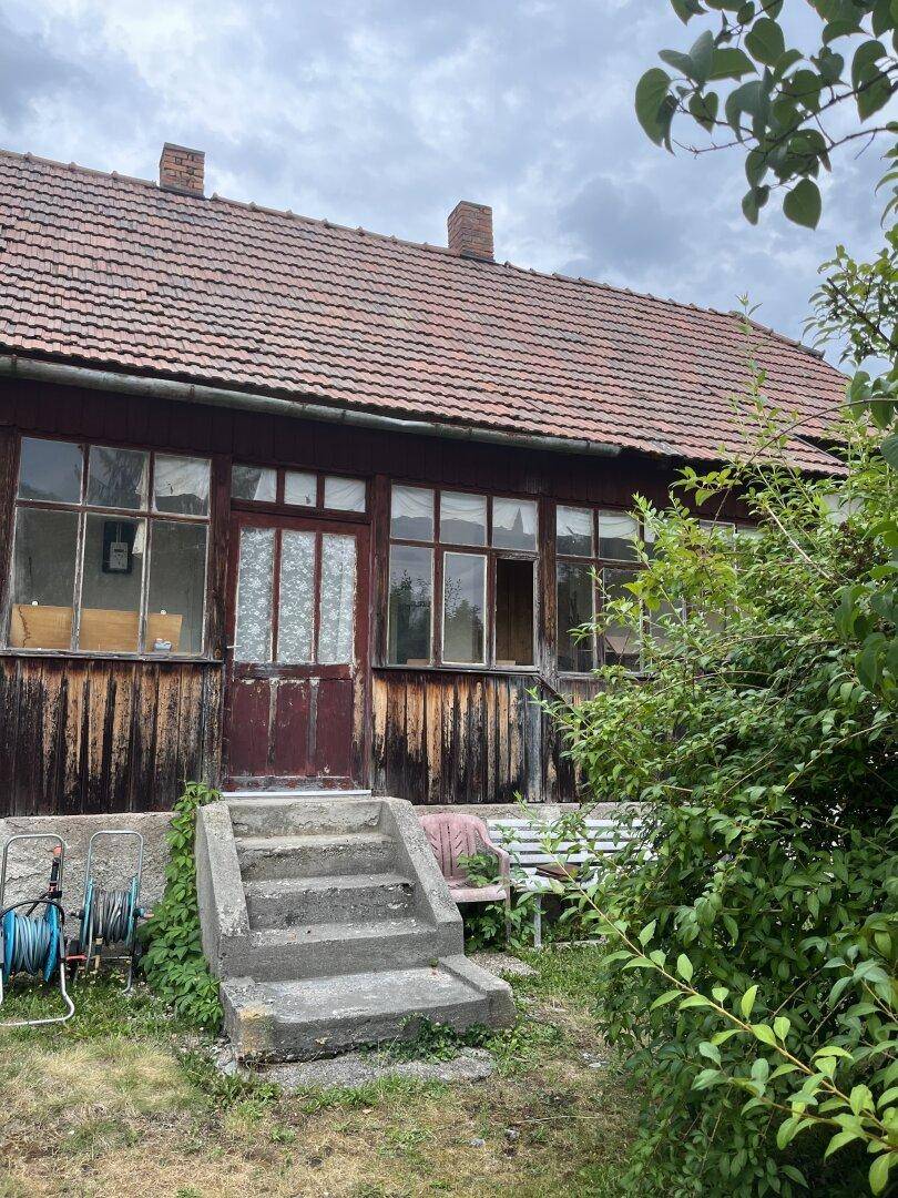 Nahaufnahme des Hauseingangs mit verglaster Holzveranda und rustikalen Betonstufen, umgeben von üppigem Grün.