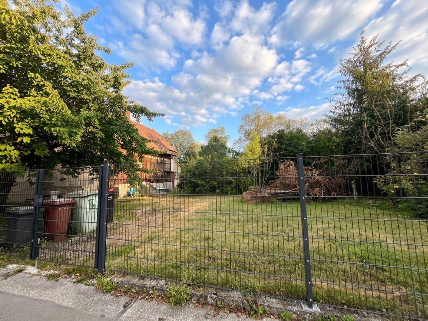 Eingezäuntes Grundstück mit Rasenfläche und dem Wohnhaus im Hintergrund, umgeben von Bäumen und Sträuchern.
