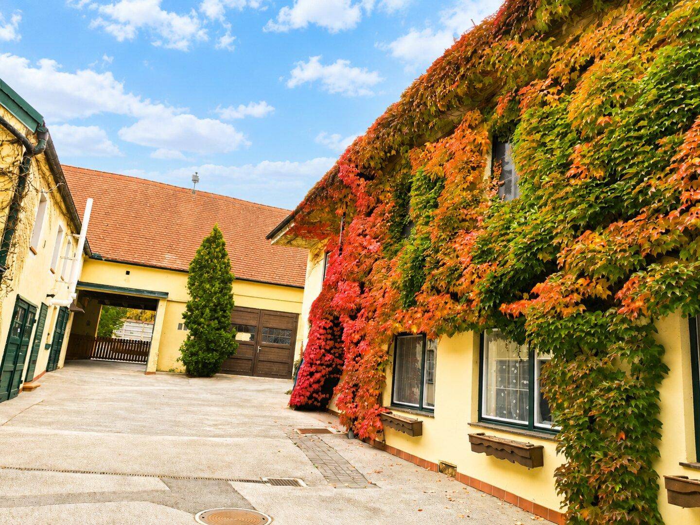 Innenhof mit einem Gebäude, das im Herbst von rotem und grünem Efeu bewachsen ist, und einer großen Holztür.