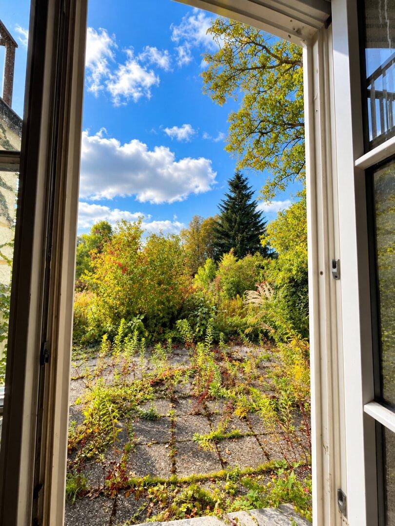 Blick aus einem geöffneten Fenster auf einen verwilderten Gartenbereich mit Bäumen und blauem Himmel.