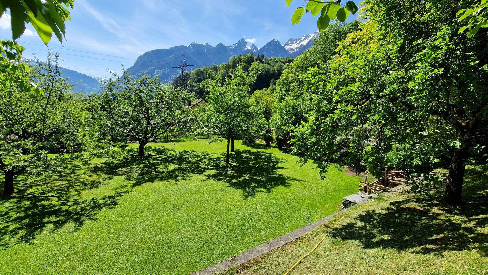Sonniger Garten mit weitläufiger Rasenfläche, Obstbäumen und beeindruckendem Blick auf die Alpen.