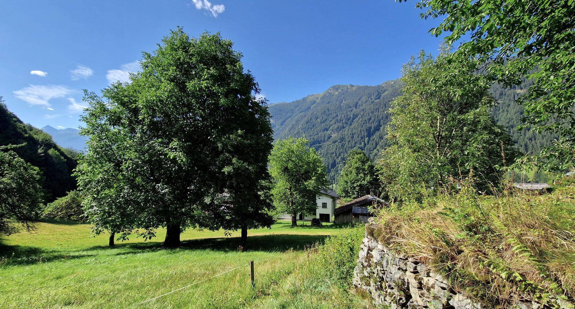 Grüne Landschaft mit einem großen Baum, einer Steinmauer und fernen Bergen mit einem kleinen Haus.