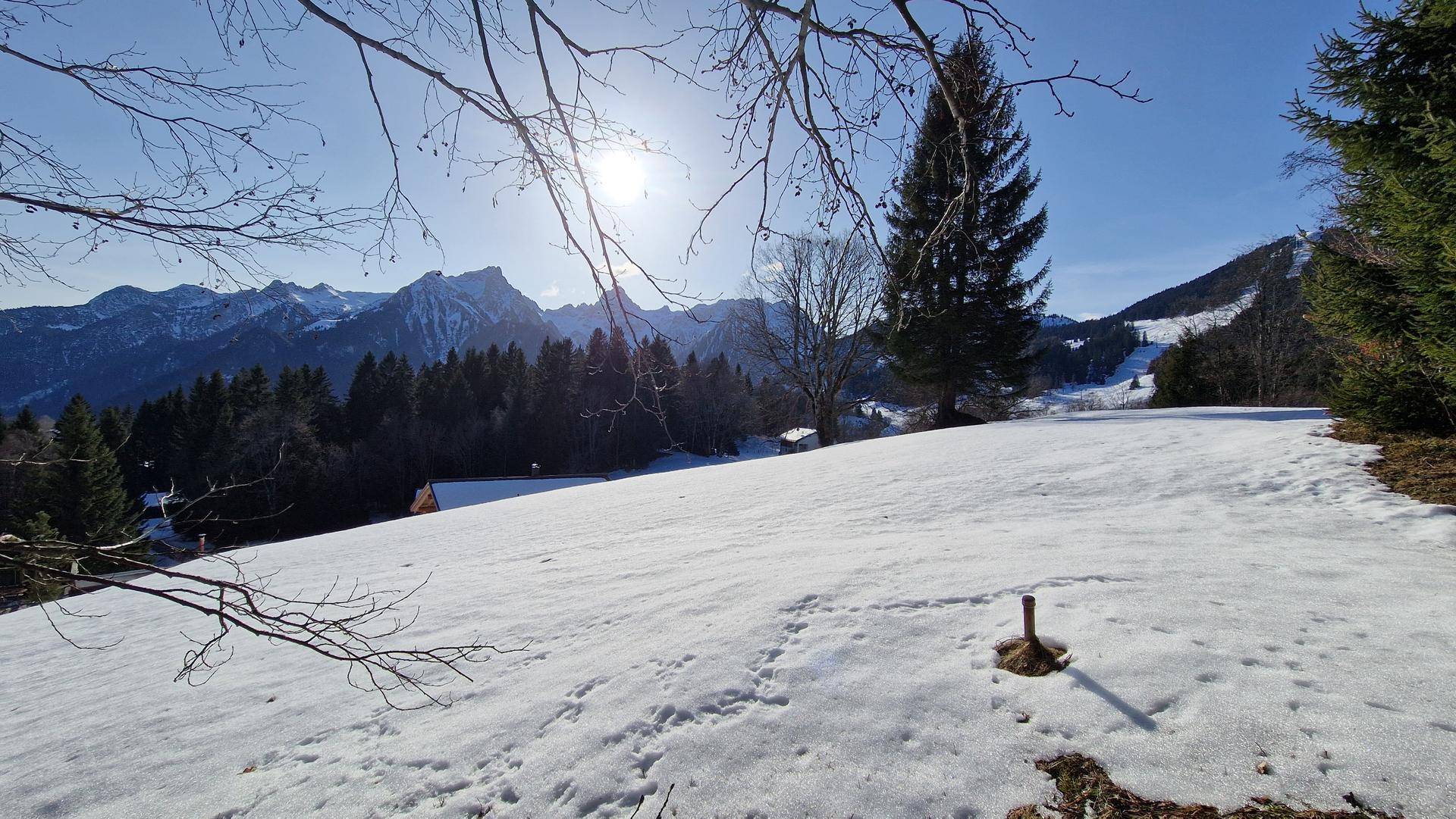 Weite, schneebedeckte Landschaft mit Bäumen und einem beeindruckenden Panoramablick auf die Berge.