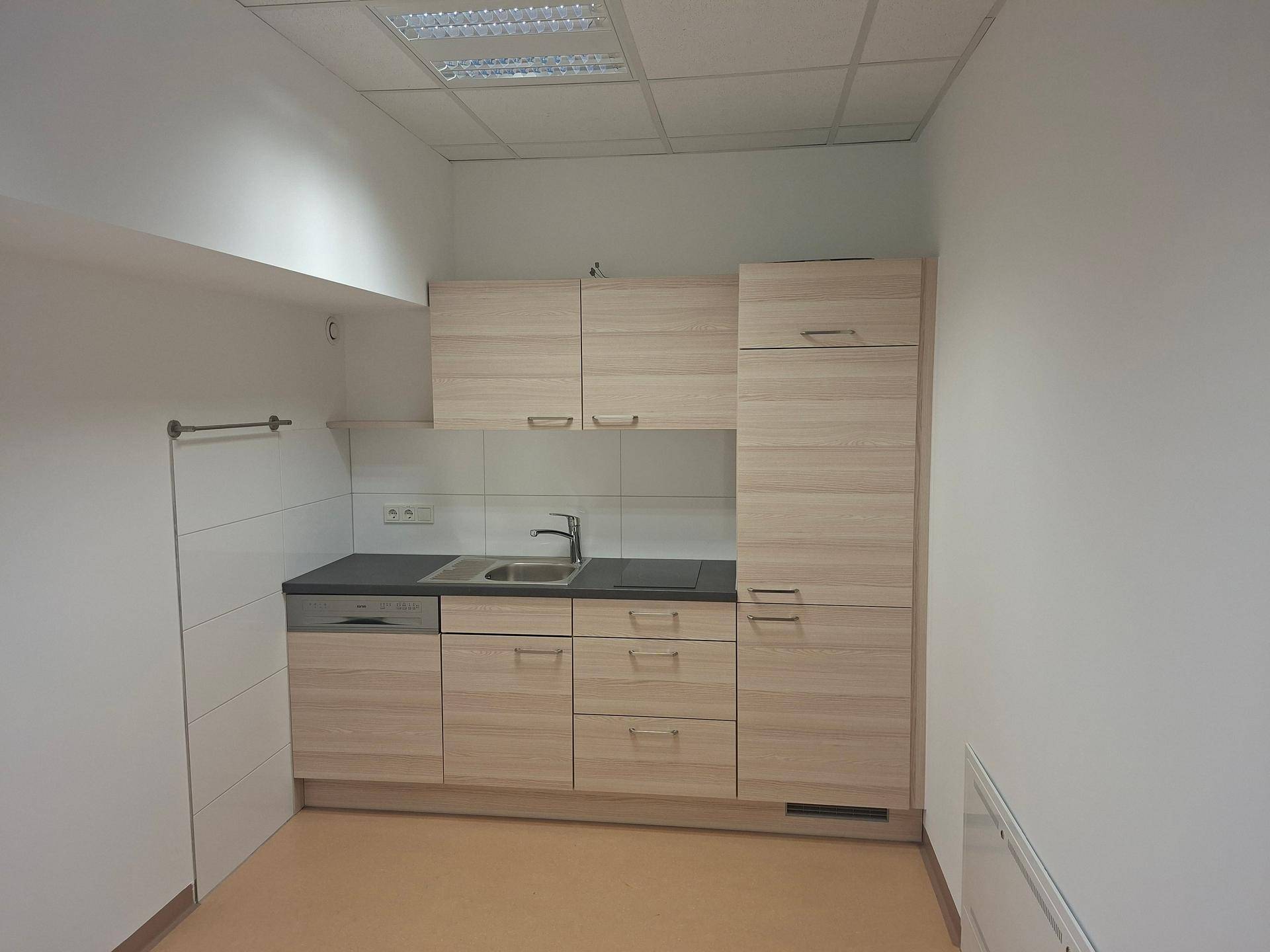 Kleine Einbauküche mit hellen Holzfronten, Spüle, Kochfeld und integriertem Geschirrspüler.