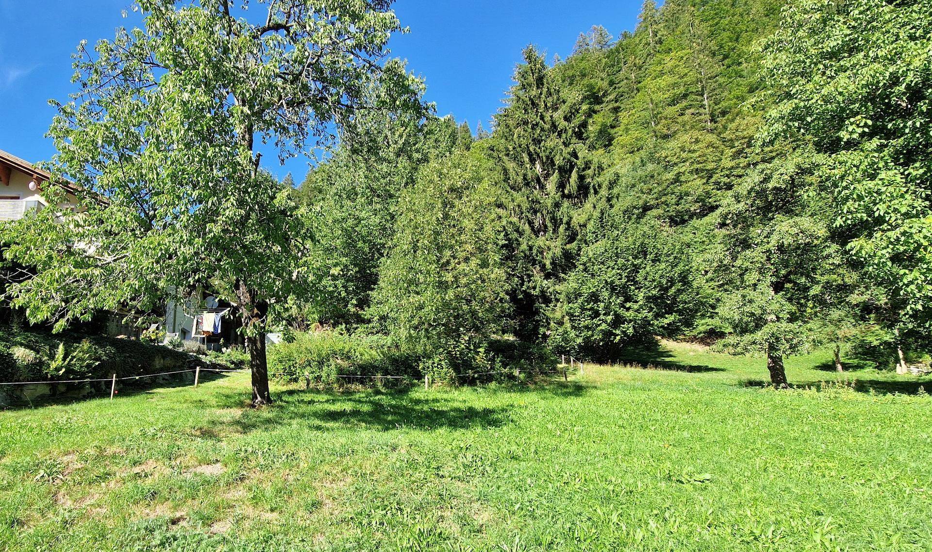Weitläufige grüne Wiese mit vereinzelten Bäumen und einem Haus am Waldrand, umgeben von Bergen.