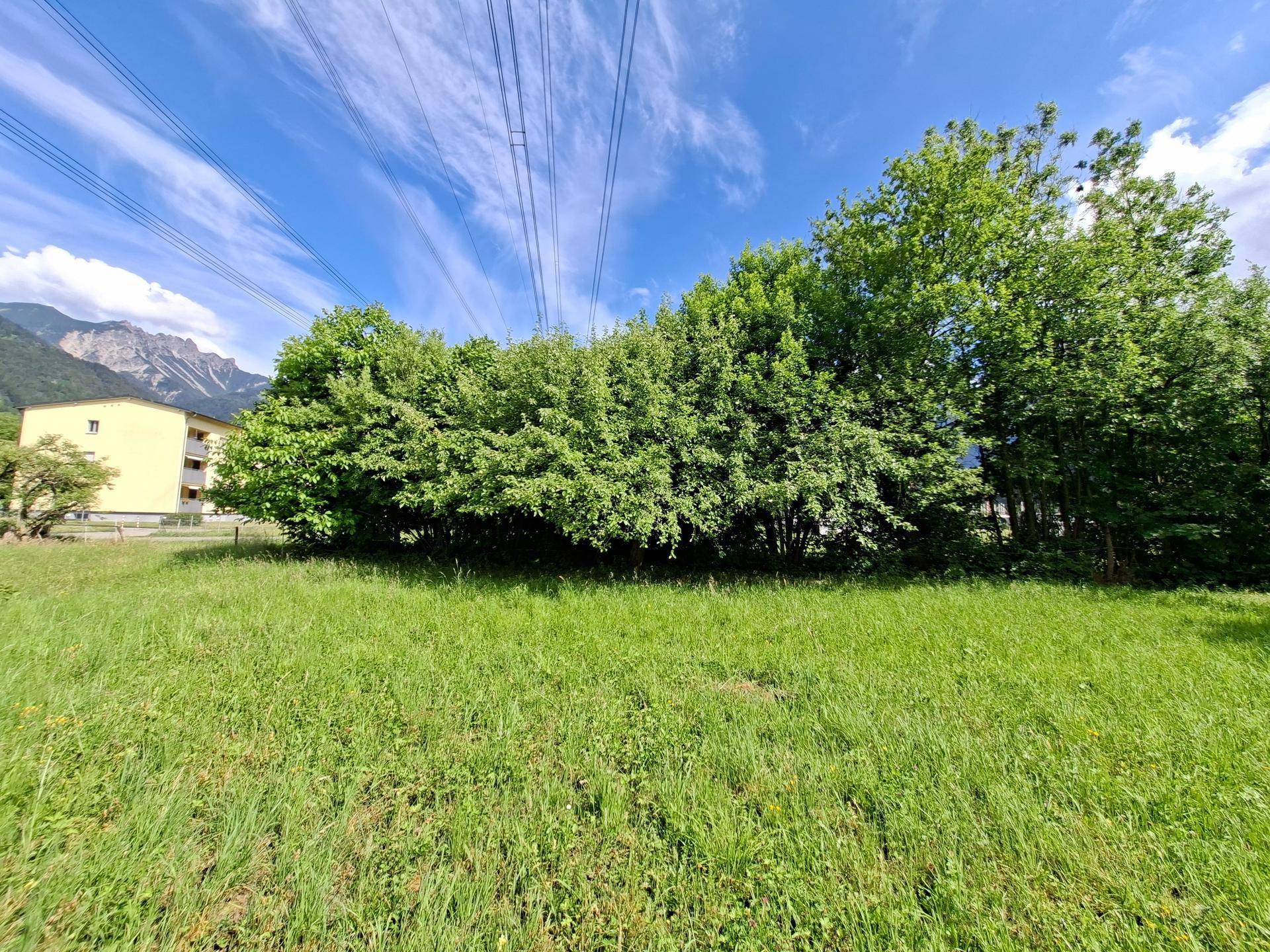 Grüne Wiese mit dichter Baumreihe, im Hintergrund ein Gebäude und Berge unter strahlend blauem Himmel.