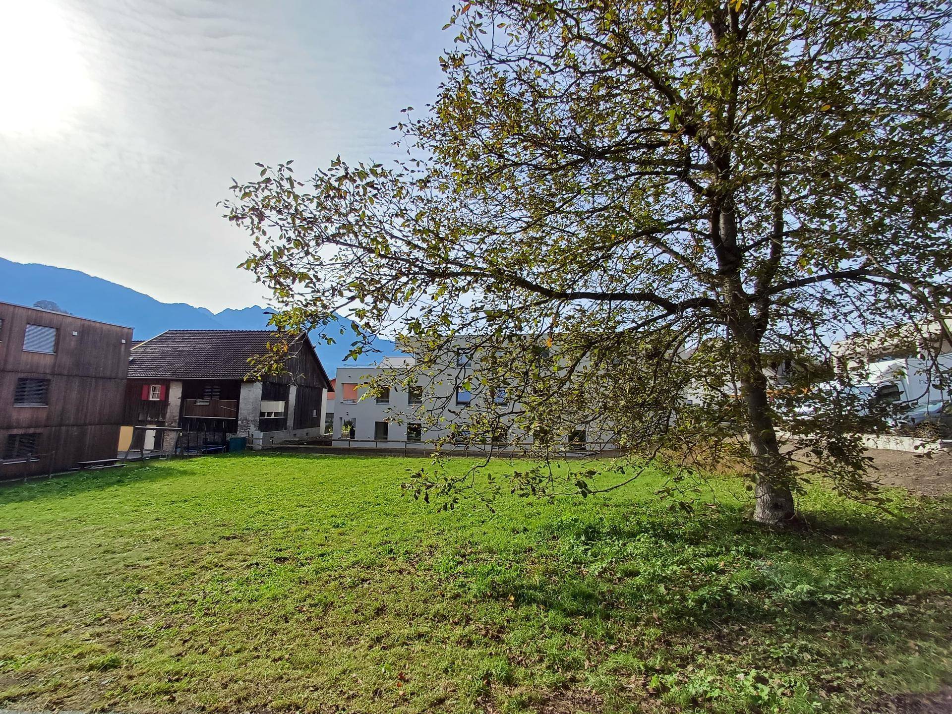 Grünfläche mit altem Baum im Vordergrund und Blick auf Gebäude sowie Berge im Hintergrund.