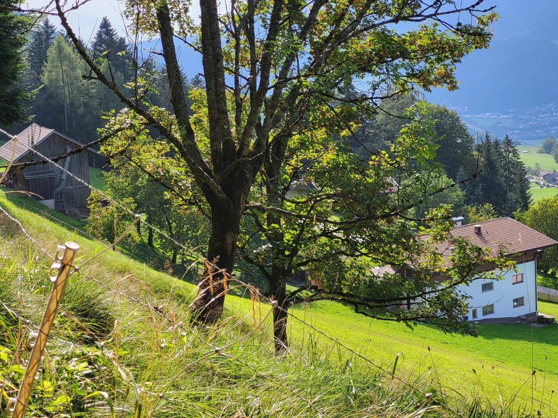 Vom Wiesenstall zum Haus