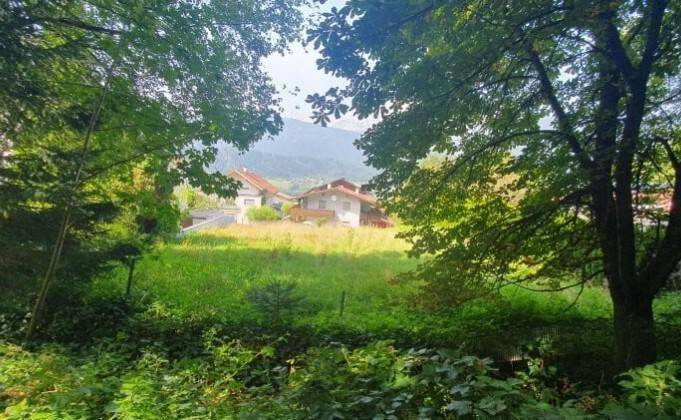 Blick durch Bäume auf eine grüne Wiese mit Häusern und Bergen im Hintergrund.