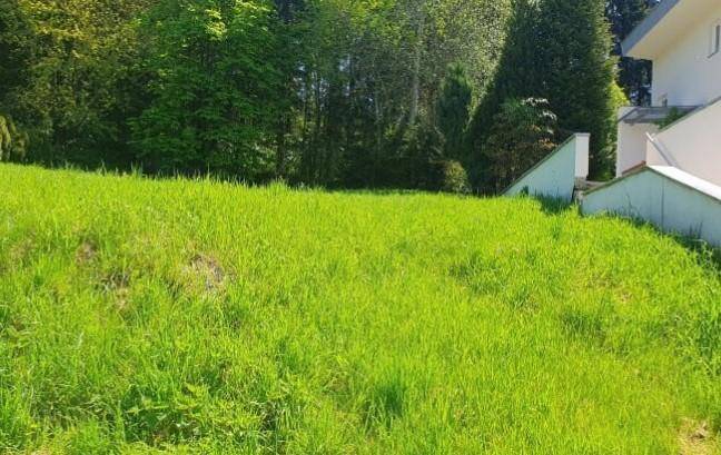Grüne Rasenfläche auf einem Hang mit einem teilweise sichtbaren Haus und Bäumen im Hintergrund.