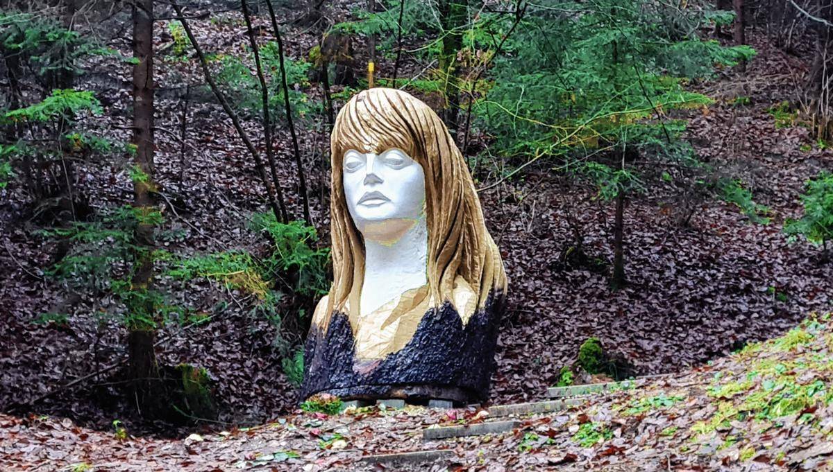 Impressionen aus dem Silberwald