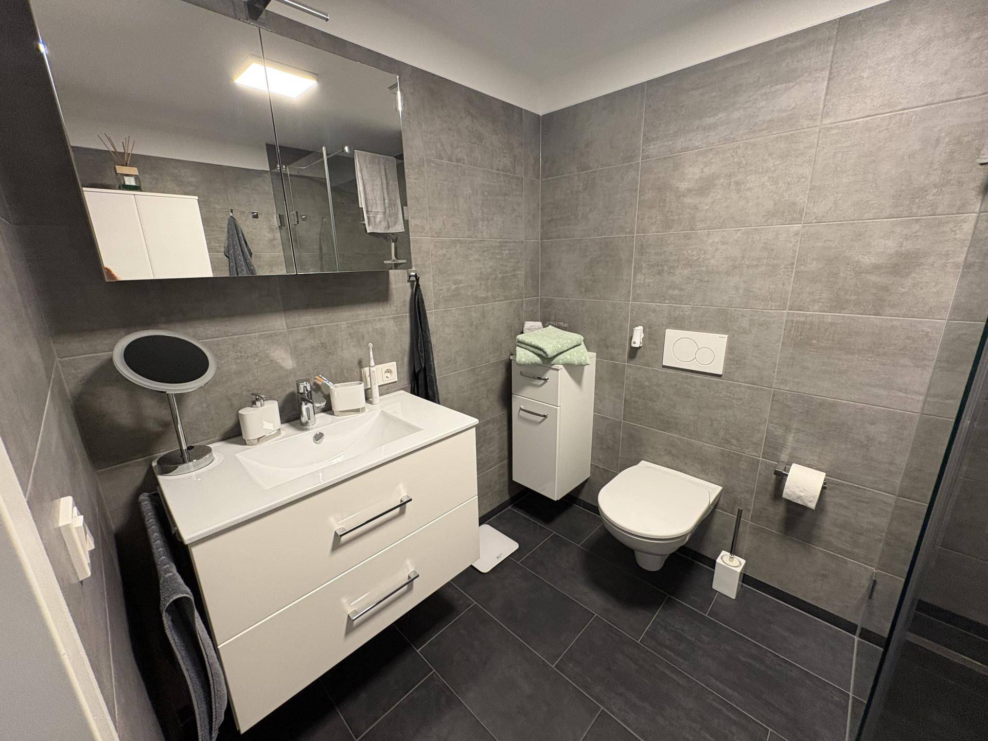 Modernes Badezimmer mit grauen Fliesen, Einzelwaschbecken und wandhängendem WC.