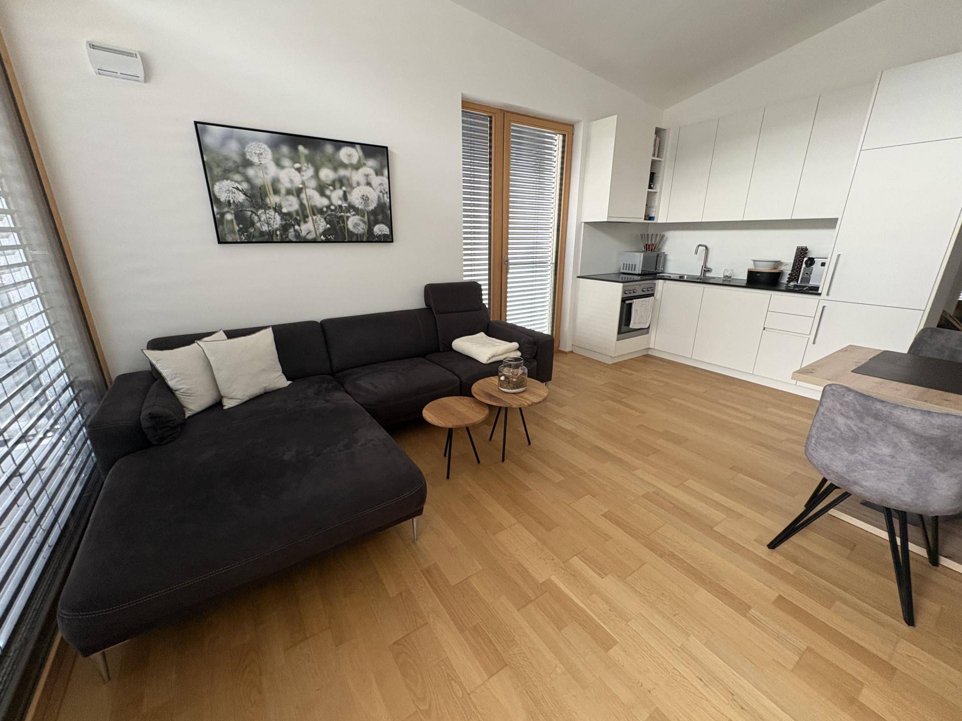 Gemütlicher Wohnbereich mit Sofa und integrierter Küchenzeile, ideal für offenes Wohnen.