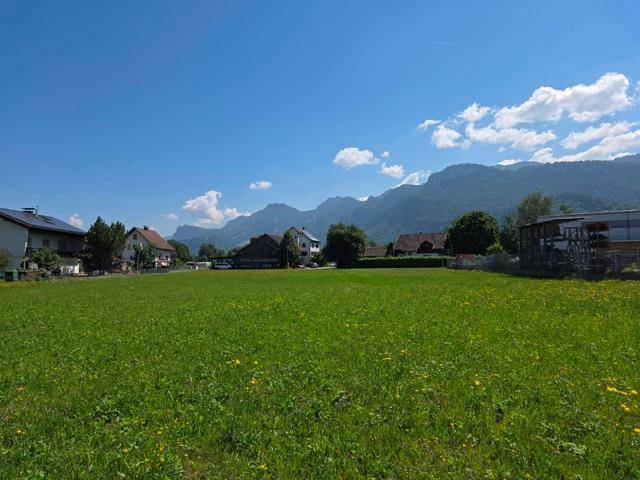 Weitläufige grüne Wiese mit gelben Blumen, umgeben von Häusern und einer imposanten Berglandschaft.