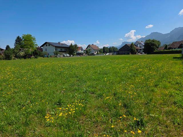 Sonnige grüne Wiese mit gelben Blüten, Wohnhäusern und majestätischen Bergen im Hintergrund.