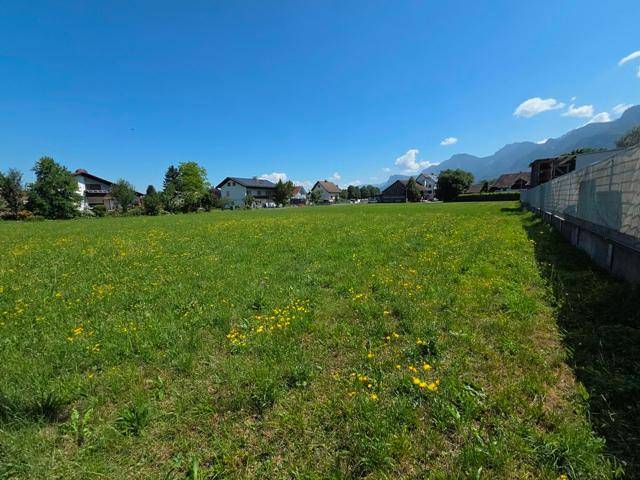 Grüne Wiese mit gelben Blumen, umgeben von Wohnhäusern und einer beeindruckenden Bergkulisse.