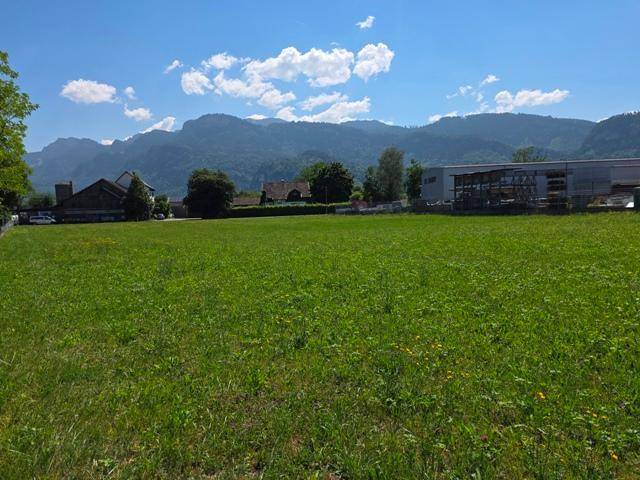 Grüne Wiese mit gelben Blumen, Bäumen, Industriegebäuden und einer beeindruckenden Bergkulisse.