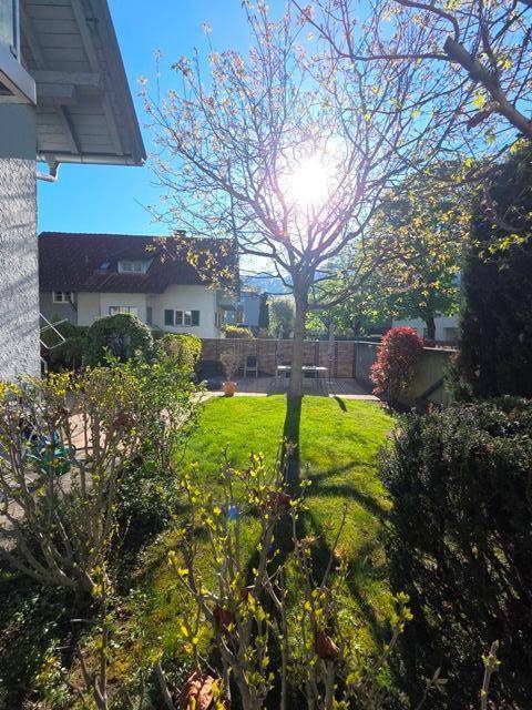 Sonniger Gartenbereich mit Rasenfläche und Bäumen, umgeben von weiteren Wohnhäusern in der Nachbarschaft.