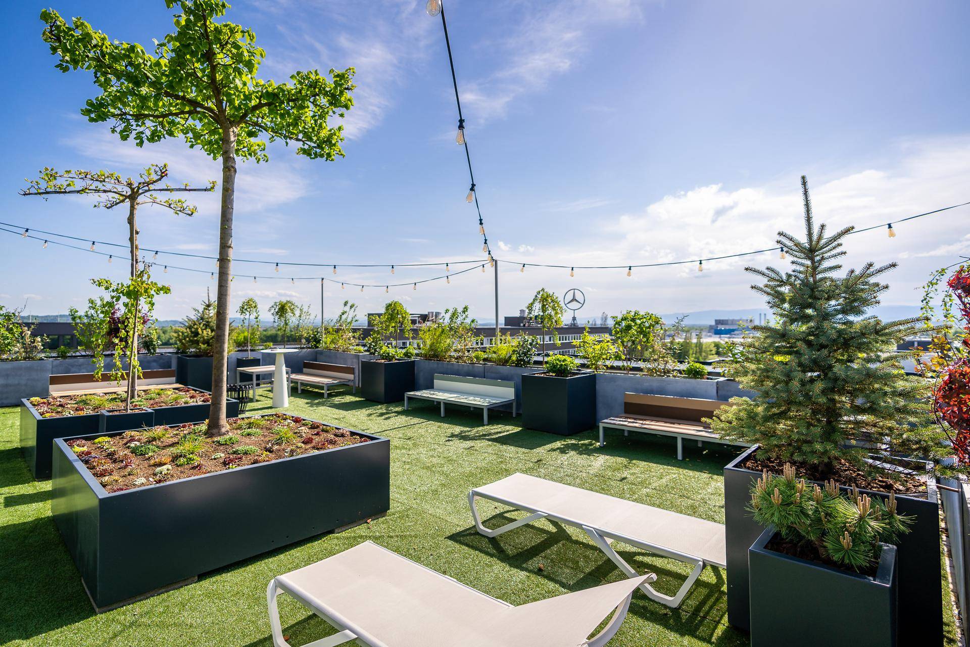 Grüne Dachterrasse mit Liegestühlen, Bänken und Pflanzen in Hochbeeten unter blauem Himmel.